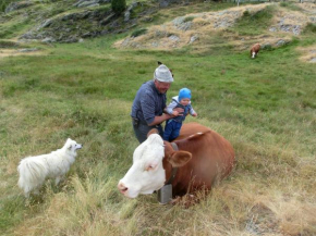 Ferienhütte Premstlahof